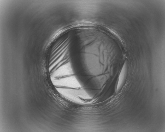 X0000053121455200508081239