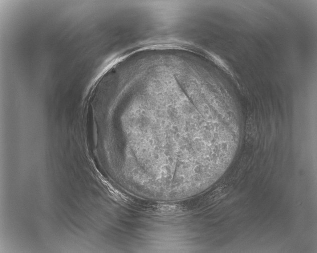 X0000053121456200508081239