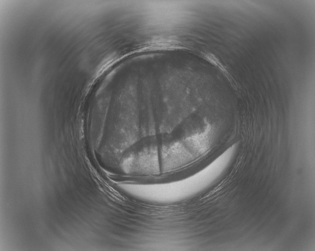 X0000053121459200508081239