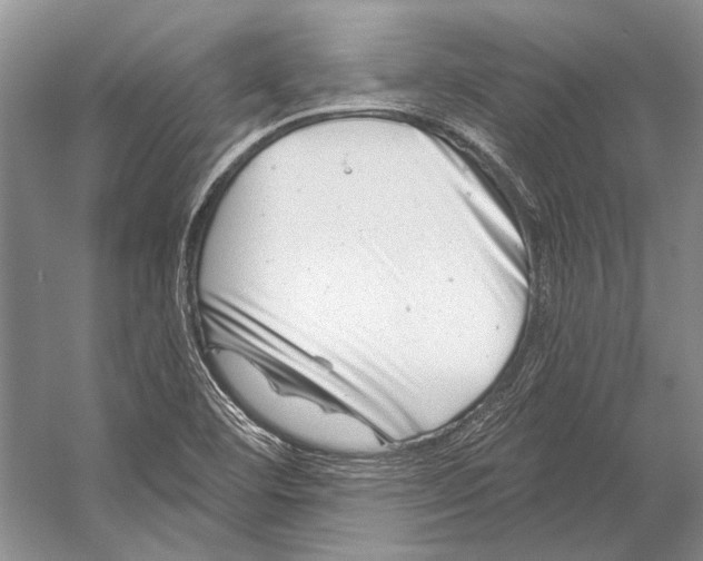 X0000053121460200508081239