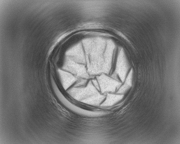 X0000053121461200508081239