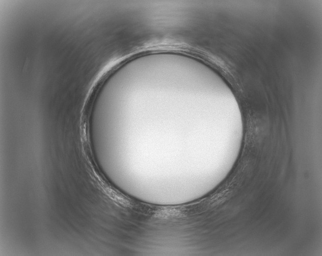 X0000053121462200508081239