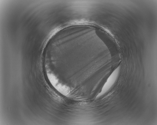 X0000053121463200508081239