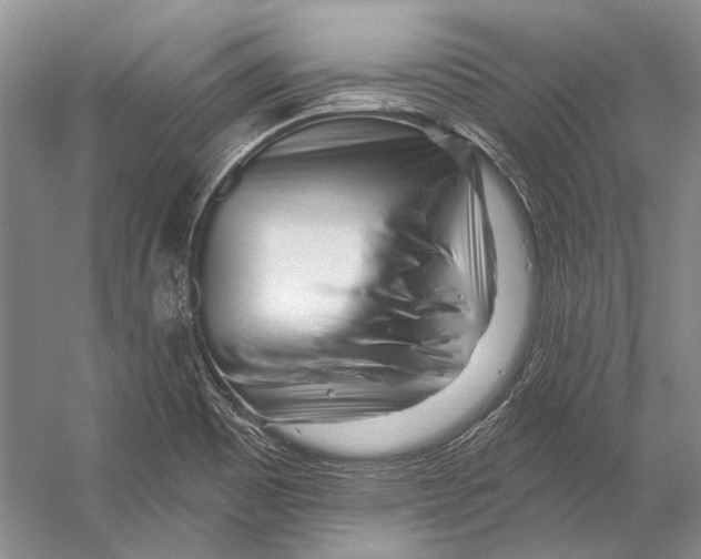 X0000053121465200508081239