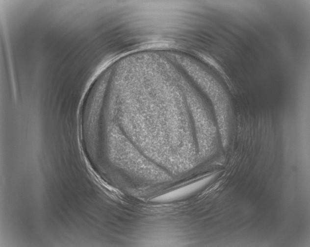 X0000053121467200508081239