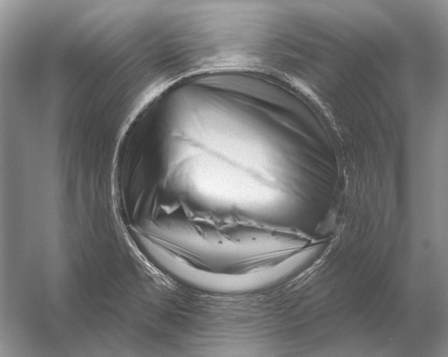 X0000053121469200508081239