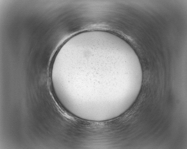 X0000053121470200508081239