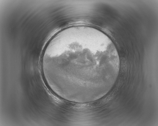 X0000053121474200508081239