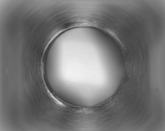 X0000053121476200508081239