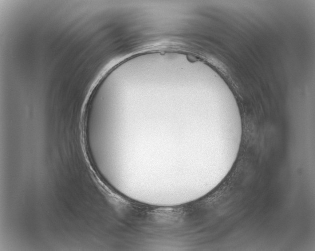 X0000053121478200508081239