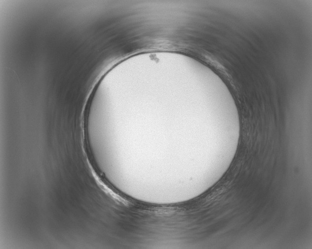 X0000053121479200508081239