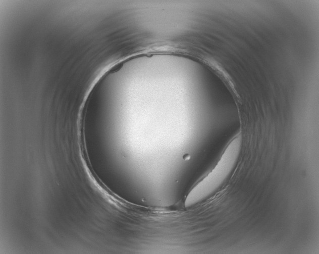 X0000053121483200508081238