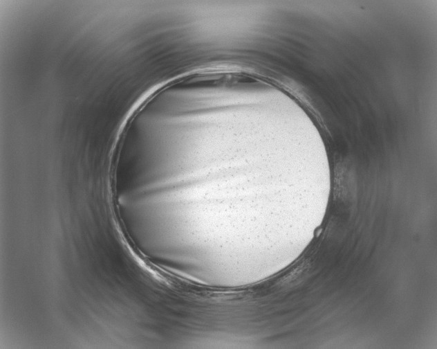 X0000053121484200508081238