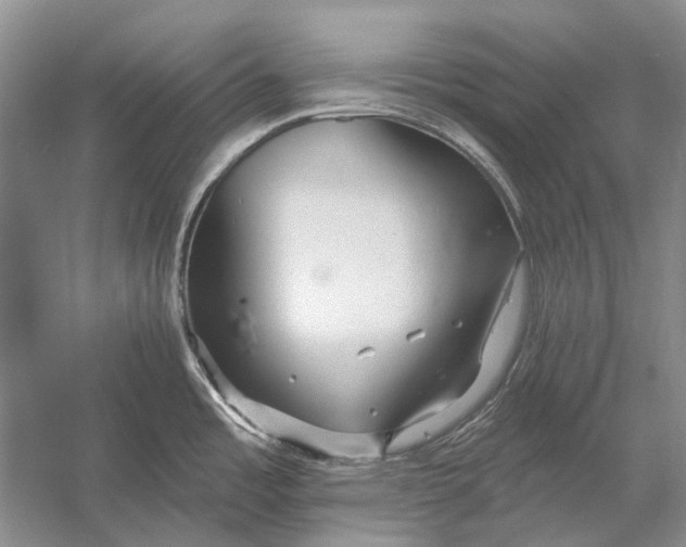 X0000053121485200508081238