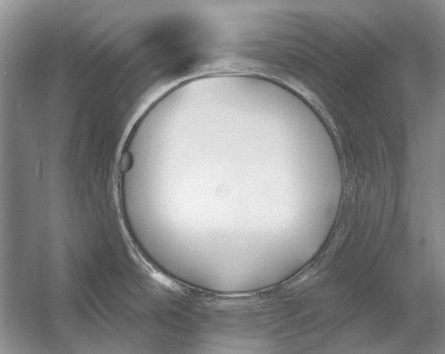 X0000053121486200508081238