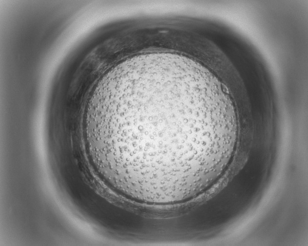 X0000053121487200508081238