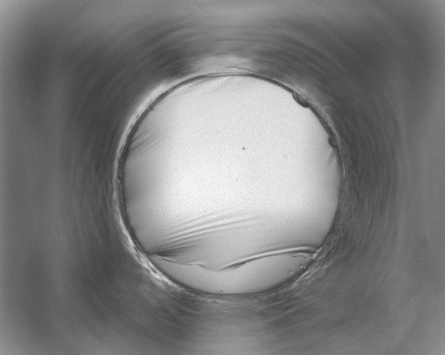 X0000053121488200508081238