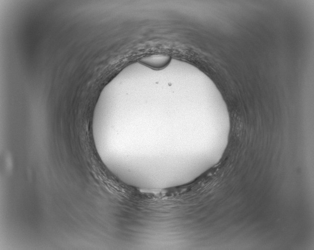 X0000053121489200508081238