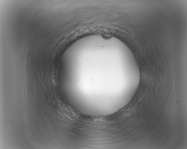 X0000053121490200508081238