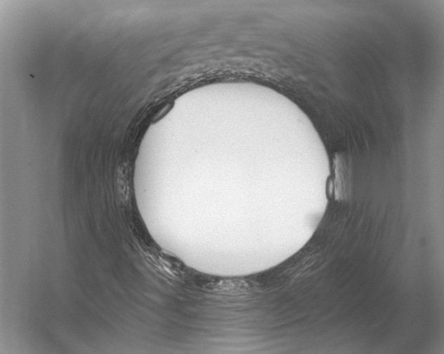 X0000053121491200508081238