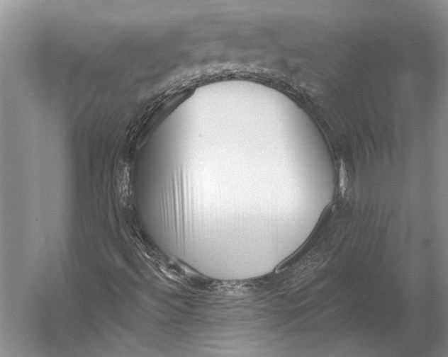 X0000053121492200508081238