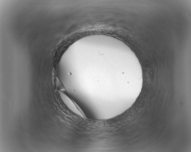 X0000053121493200508081238