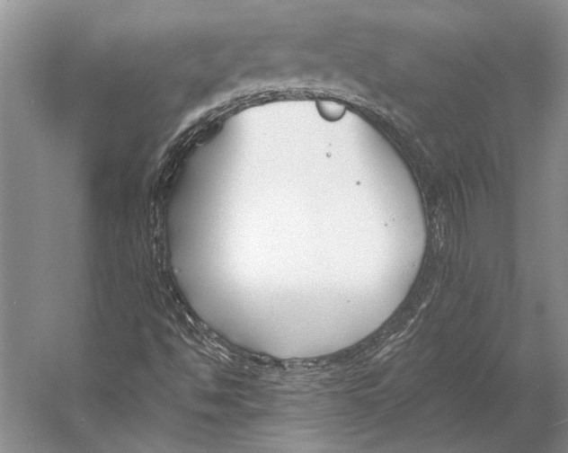 X0000053121494200508081238