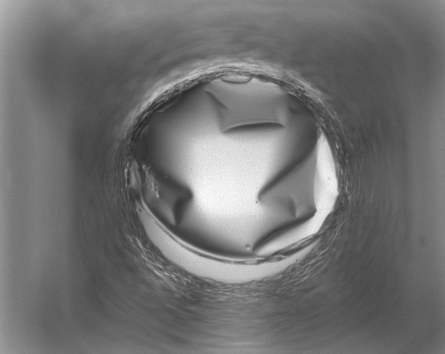 X0000053121496200508081238