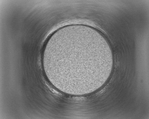 X0000053121498200508081238