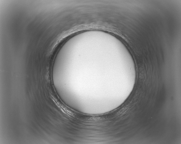 X0000053121499200508081238