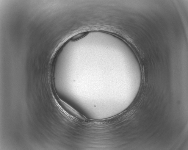 X0000053121500200508081238