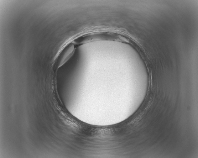 X0000053121501200508081238