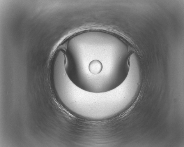 X0000053121502200508081238