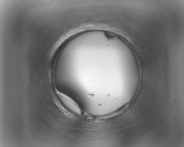 X0000053121503200508081238