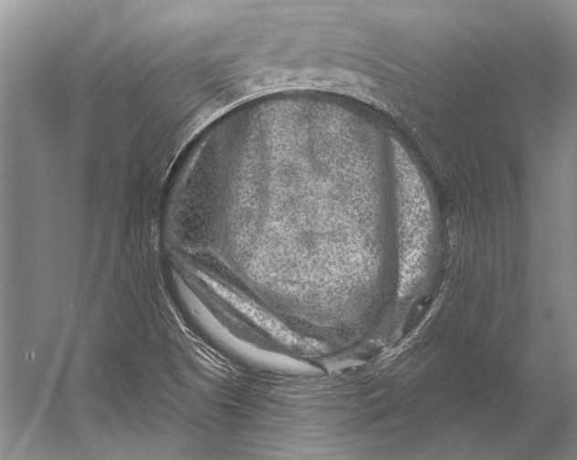 X0000053121505200508081238