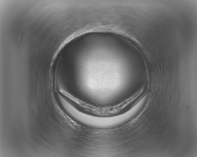 X0000053121506200508081238