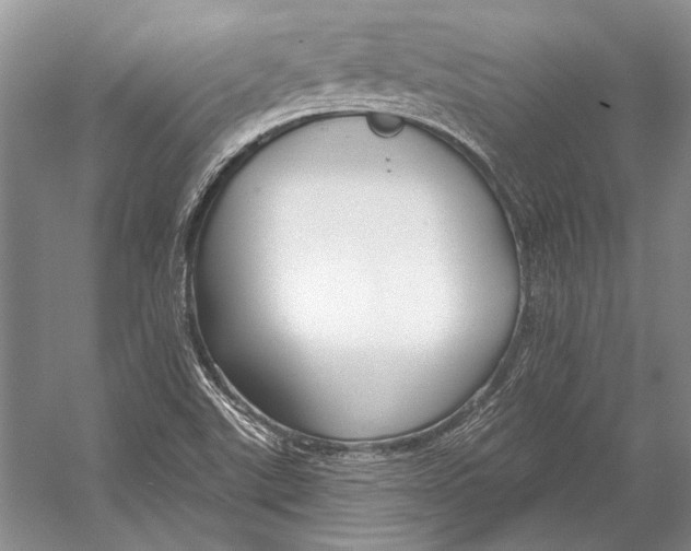 X0000053121507200508081238