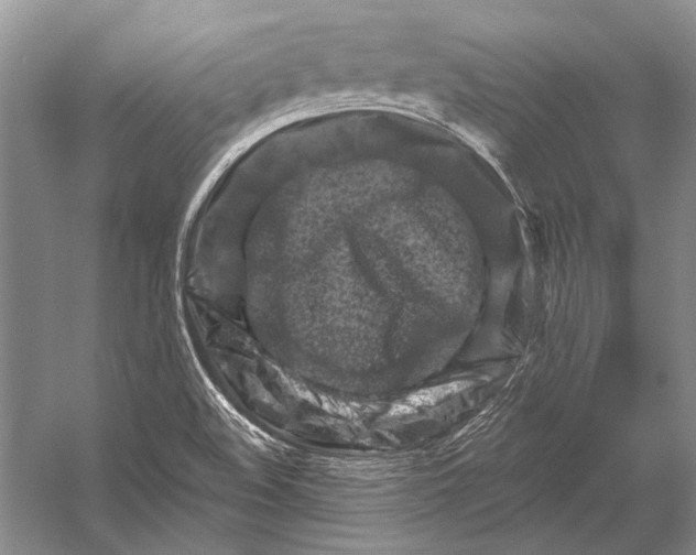 X0000053121508200508081238