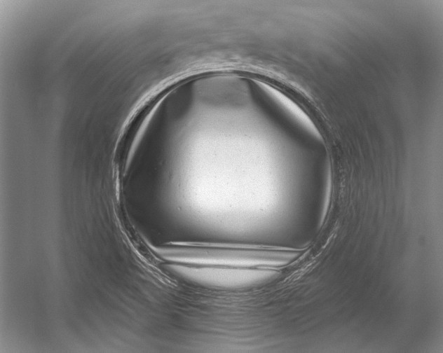 X0000053121509200508081238