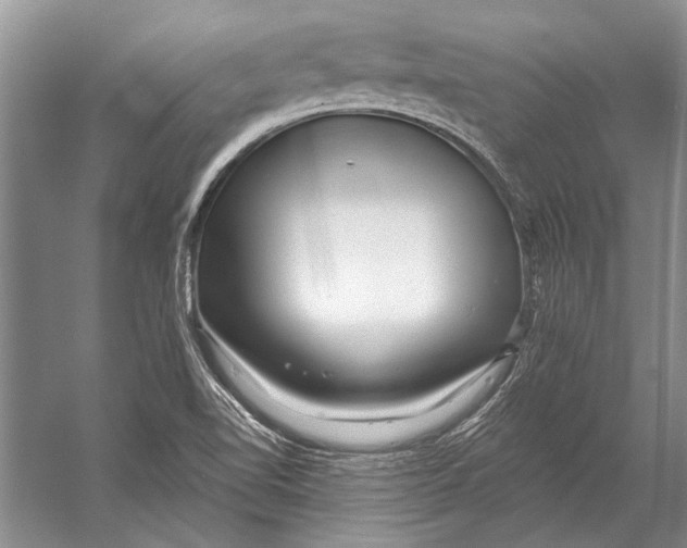 X0000053121510200508081238