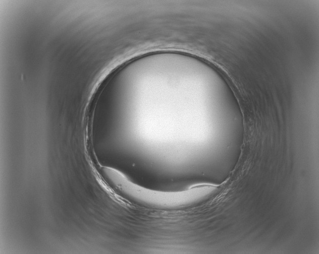 X0000053121511200508081238