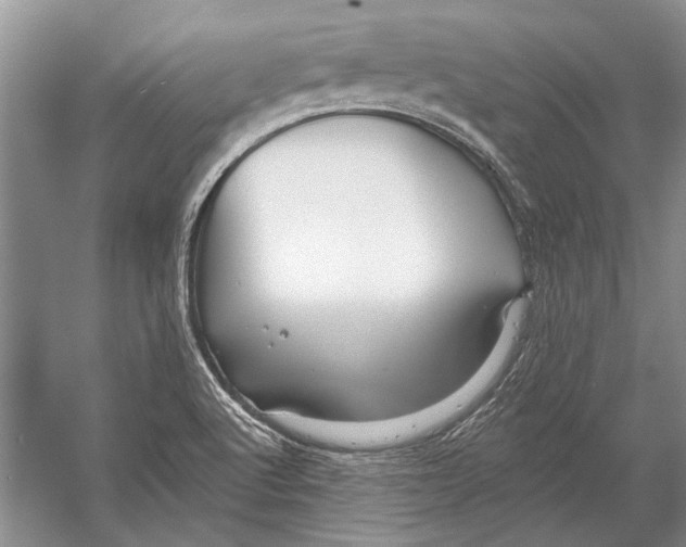 X0000053121512200508081238