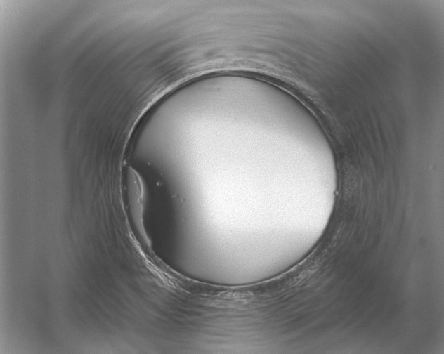 X0000053121513200508081238