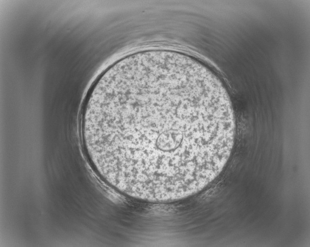 X0000053121514200508081238