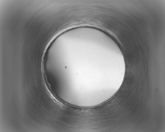 X0000053121516200508081238