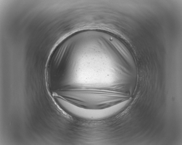 X0000053121517200508081238