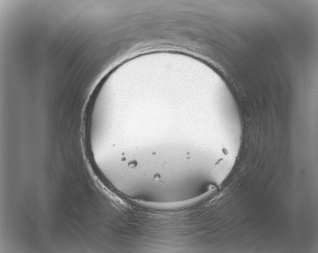 X0000053121518200508081238