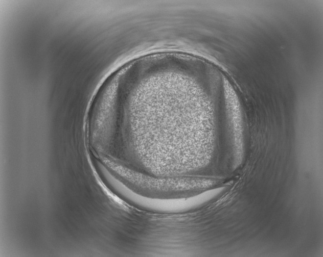 X0000053121519200508081238