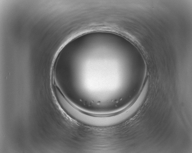 X0000053121520200508081238