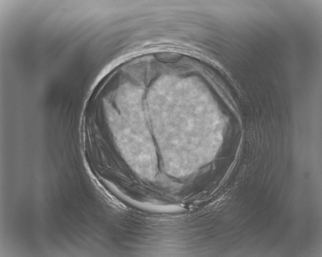 X0000053121522200508081238